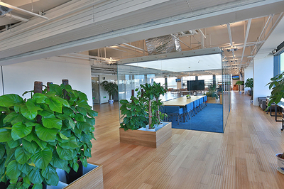 辦公室裝修設(shè)計從綠色環(huán)保開始_裝修知識_北京天元世紀裝飾工程設(shè)計有限公司